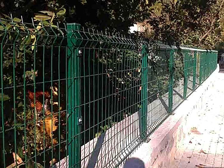 Standart Kaynaklı Panel